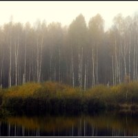 Лесное озеро :: Aleksandr Gal