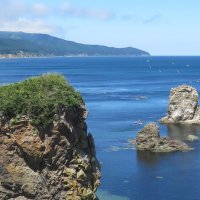 Мыс Птичий. Сахалин. :: ИРЭН@ .