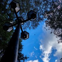 сквер в г Климовск :: Артём 