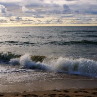 ~~~~~ :: Алёна Савина ~~~~~ :: Алёна Савина