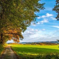 вот и лето прошло :: Нельсон 