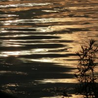 Блики :: Марина 