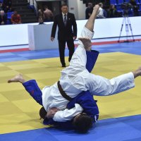 В броске :: Александр Гриднев