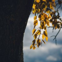 Осень. Гуляя по Суздалю :: Вячеслав Владимирович