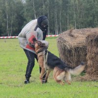 Такая работа :: Маргарита ( Марта ) Дрожжина