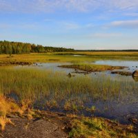 *** :: Александр Хаецкий
