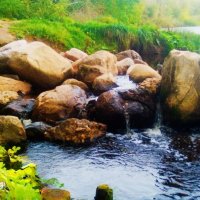 ** :: Сергей Кочнев