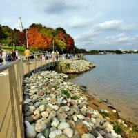 КОЛОМЕНСКОЕ :: АЛЕКСАНДР 