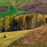 Осень :: Петр 
