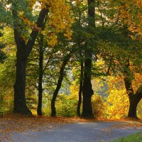 В осеннем парке тишина :: Юрий. Шмаков В осеннем парке тишина :: Юрий. Шмаков