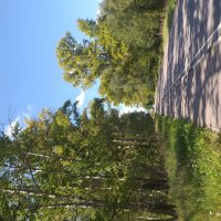 моя дорога :: Галина Флора моя дорога :: Галина Флора