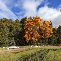 Уж небо осенью дышало :: Евгений 
