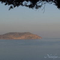 Природа Крыма :: Amazing Cosmea Природа Крыма :: Amazing Cosmea