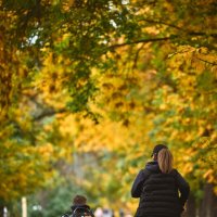 Осень :: Александр Морозов