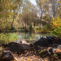 Осень :: Михаил Измайлов