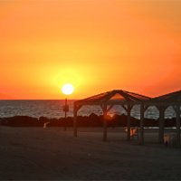 Хайфа 2025 :: Владислав Воровский 