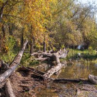 Осень :: Михаил Измайлов