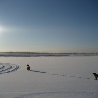 Утро :: Anna Ivanova Утро :: Anna Ivanova