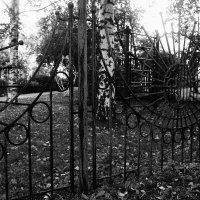 17 :: Василий Палий