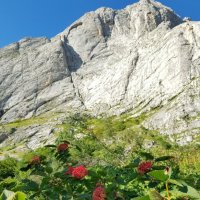 ЗАПАДНЫЙ КАВКАЗ. Пшехский водопад :: Tata Wolf ЗАПАДНЫЙ КАВКАЗ. Пшехский водопад :: Tata Wolf