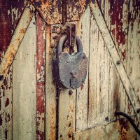 Из серии "Все ушли" :: Алексей Трифонов