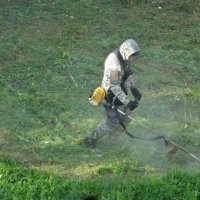 ПОКОС ТРАВЫ В ПАРКЕ :: СЕРГЕЙ ФИЛОЧКИН