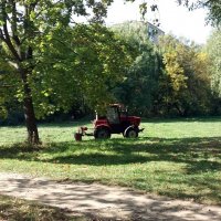 Повседневные хлопоты :: Galina Solovova