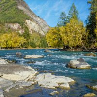 **** :: Алексей Мезенцев