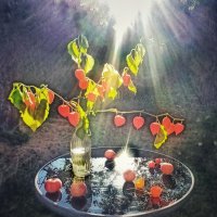 А равноденствие - кончается... :: veilins veilins