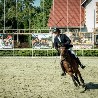 Это конкур :: Sergey 