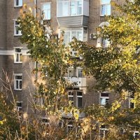 Осень во дворе (на закате). :: Татьяна Юрасова Осень во дворе (на закате). :: Татьяна Юрасова