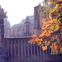 Царицыно утром 22 сентября :: Михаил Бибичков