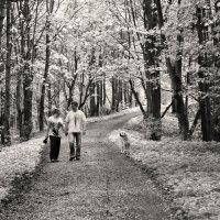 Прогулка в Гатчинском парке :: Наталья 