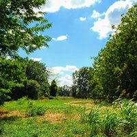 Сентябрь. :: Владимир 