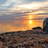 Летний закат :: Виктор Желенговский