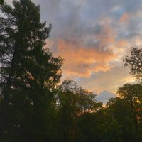 Рассвет :: Сапсан 