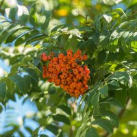 Осенний парк. Белгород :: Михаил 