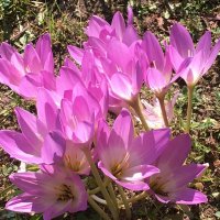 22 сентября 2025 года... :: Владимир Павлов 22 сентября 2025 года... :: Владимир Павлов