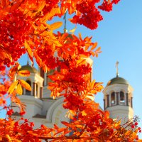 Рябина. :: Сергей Сергеев