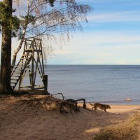 Ладожское Озеро :: Наталья Герасимова