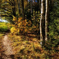 Осеннее равноденствие. На сколько дней еще осталось тепла? :: Андрей Лукьянов