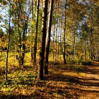 Осеннее равноденствие. На сколько дней еще осталось тепла? :: Андрей Лукьянов