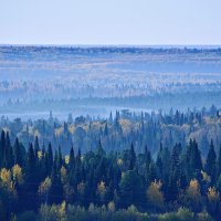 - :: Владимир Мигонькин