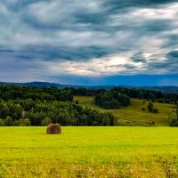 Алтайские поля :: Евгений Фролов