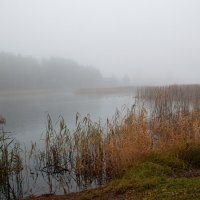 утренний туман :: Владимир Зеленцов