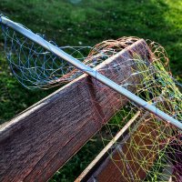 Подсачек ! :: Анатолий Колосов