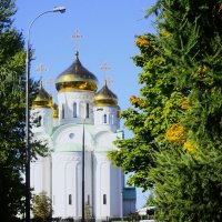 Прекрасный вид. :: Василий Палий