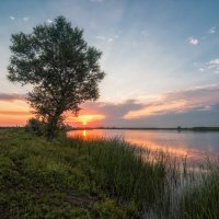 Природный парк Волго-Ахтубинская пойма. :: Дина Евсеева