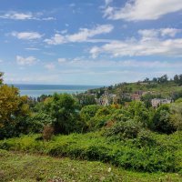 В Новом Афоне :: Ирэн 