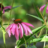 Осень, осень ... 5 :: Natali 